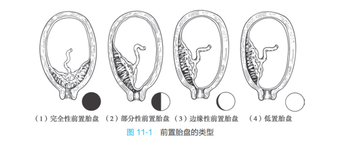 mtxx03.jpg mtxx03.jpg